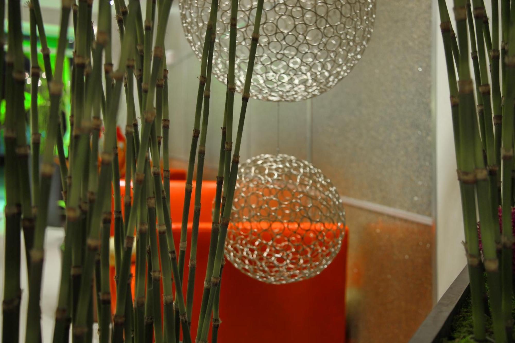 Hotel Doubletree By Hilton Bradenton Airport Sarasota