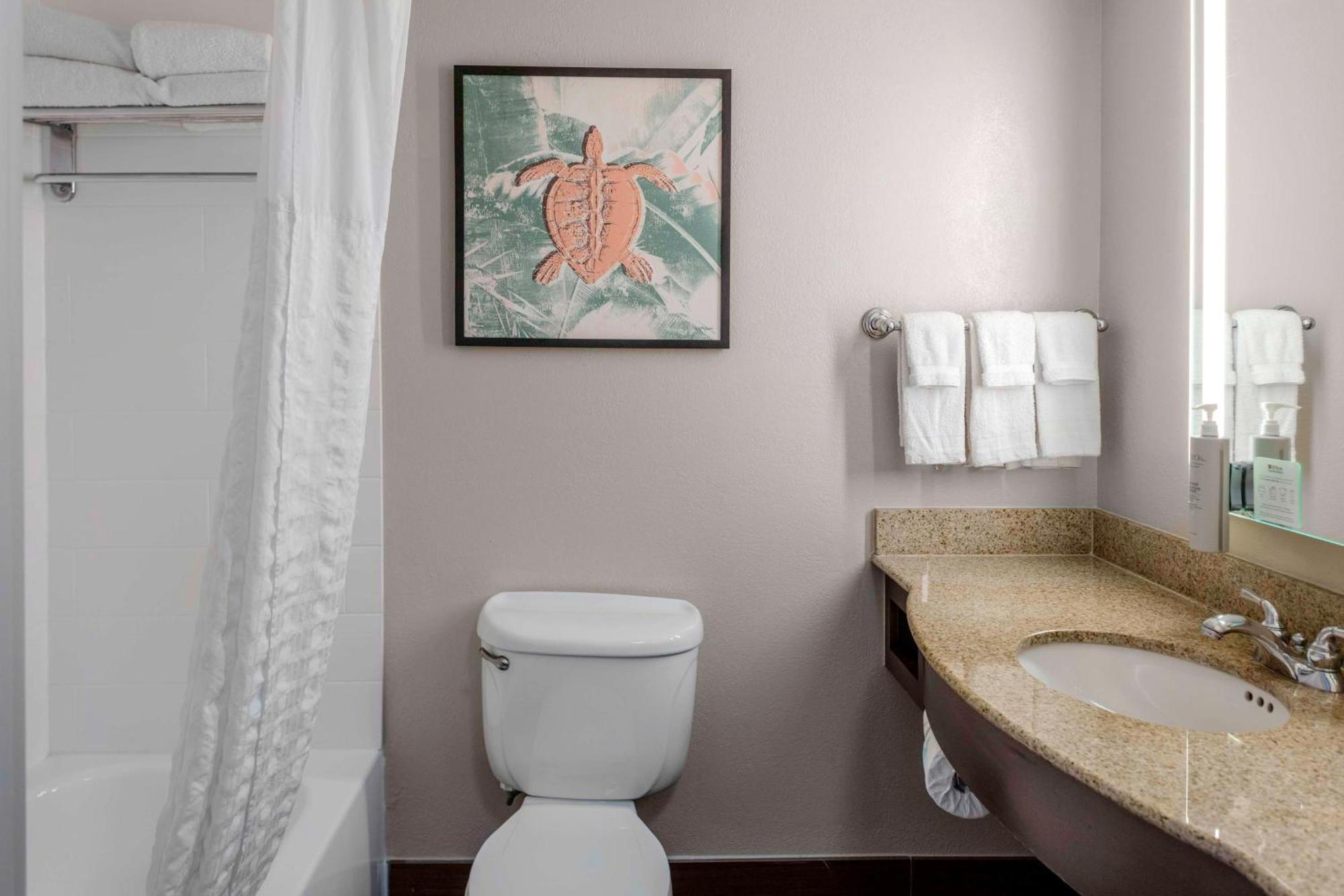 Hilton Garden Sarasota-bradenton Airport 3* Sarasota