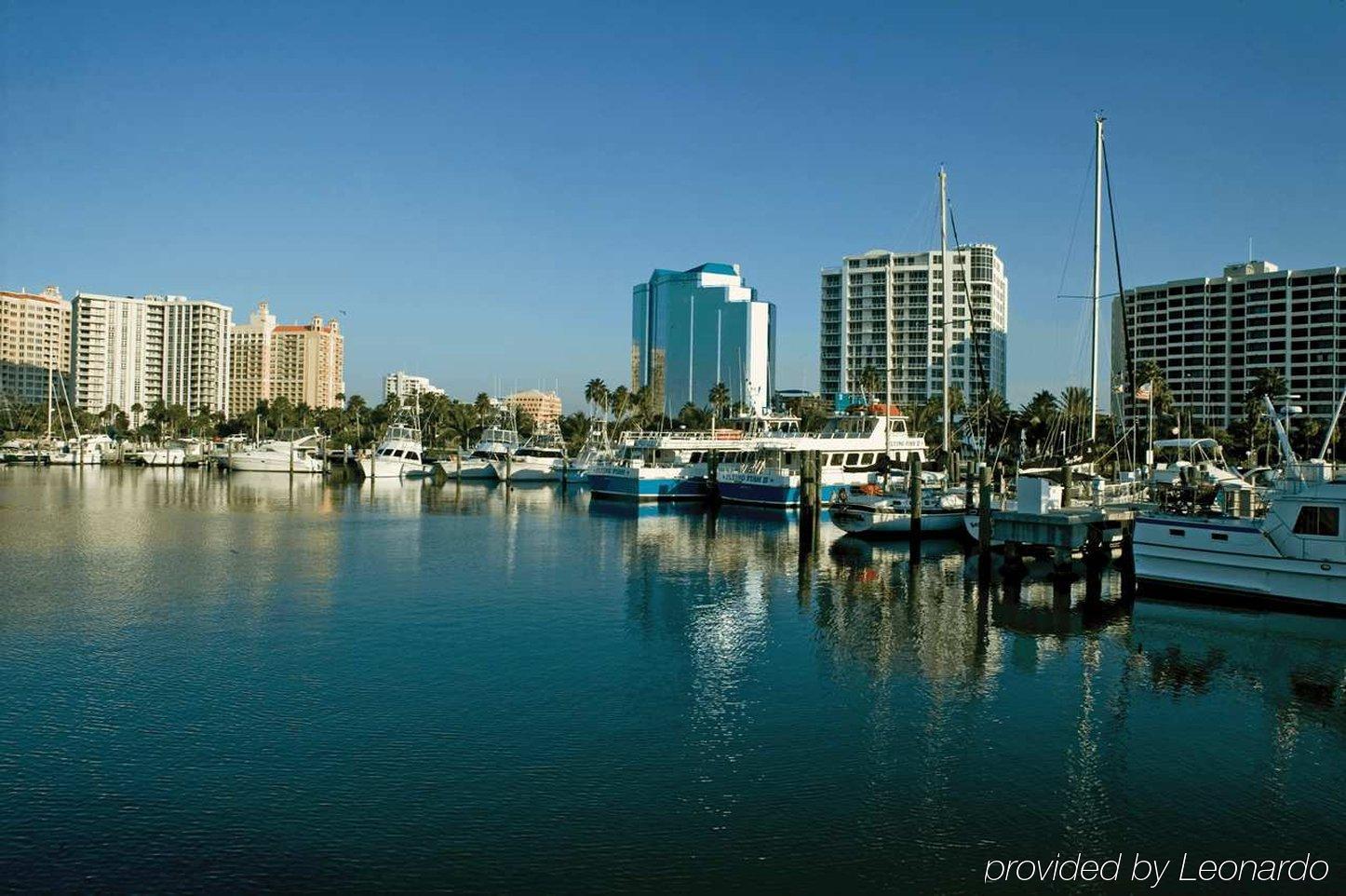 Hilton Garden Sarasota-bradenton Airport Sarasota