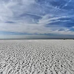 Bright Sarasota Bungalow - 5 Mi To Siesta Beach!