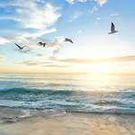 Coastal Breeze Siesta Turtle \