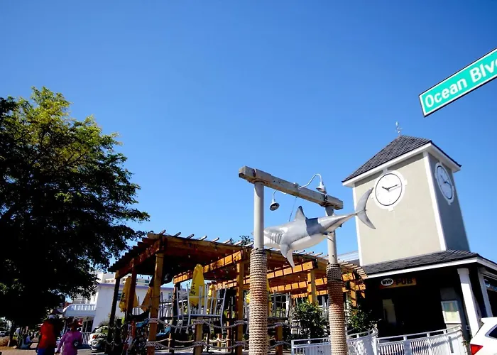 Cute Lil Oasis On Osprey