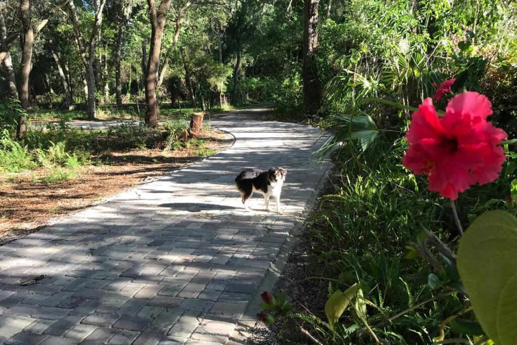 º Tropical Escape º Experience Florida Up-close! Holiday home *