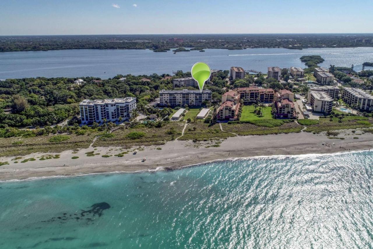 Bay Tree Side Sarasota