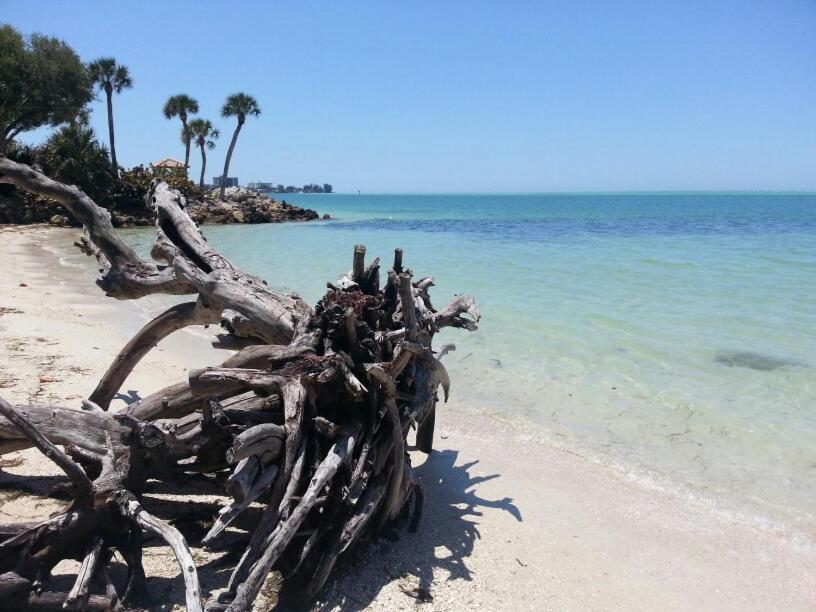 323 Canal Rd - Siesta Key Village