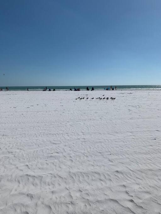 Holiday home Rowena House 2bd Den 2bth Heated Pool Near Siesta Key Sarasota
