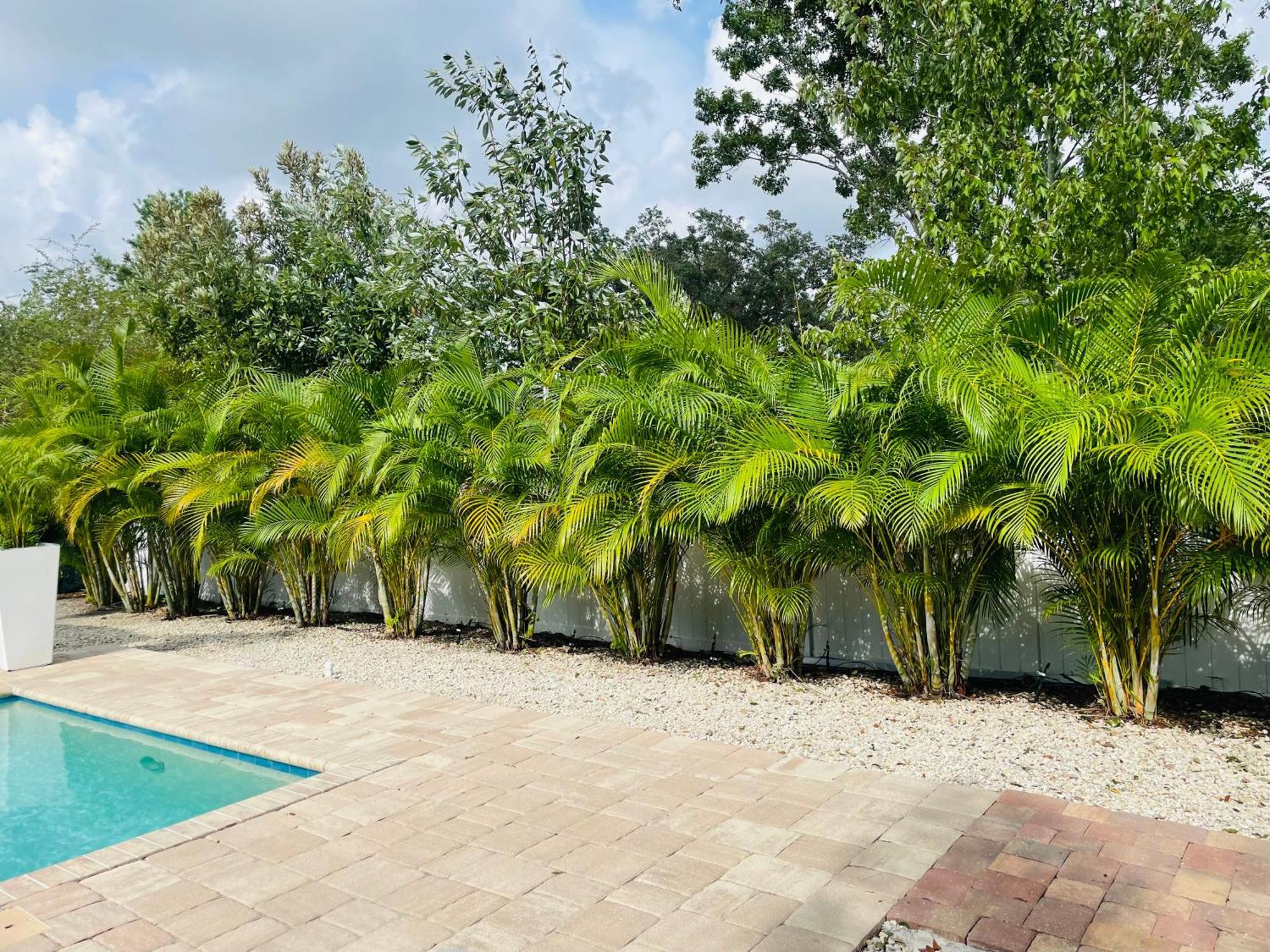 Paradise Heated Pool Near Img & Siesta Key * Sarasota