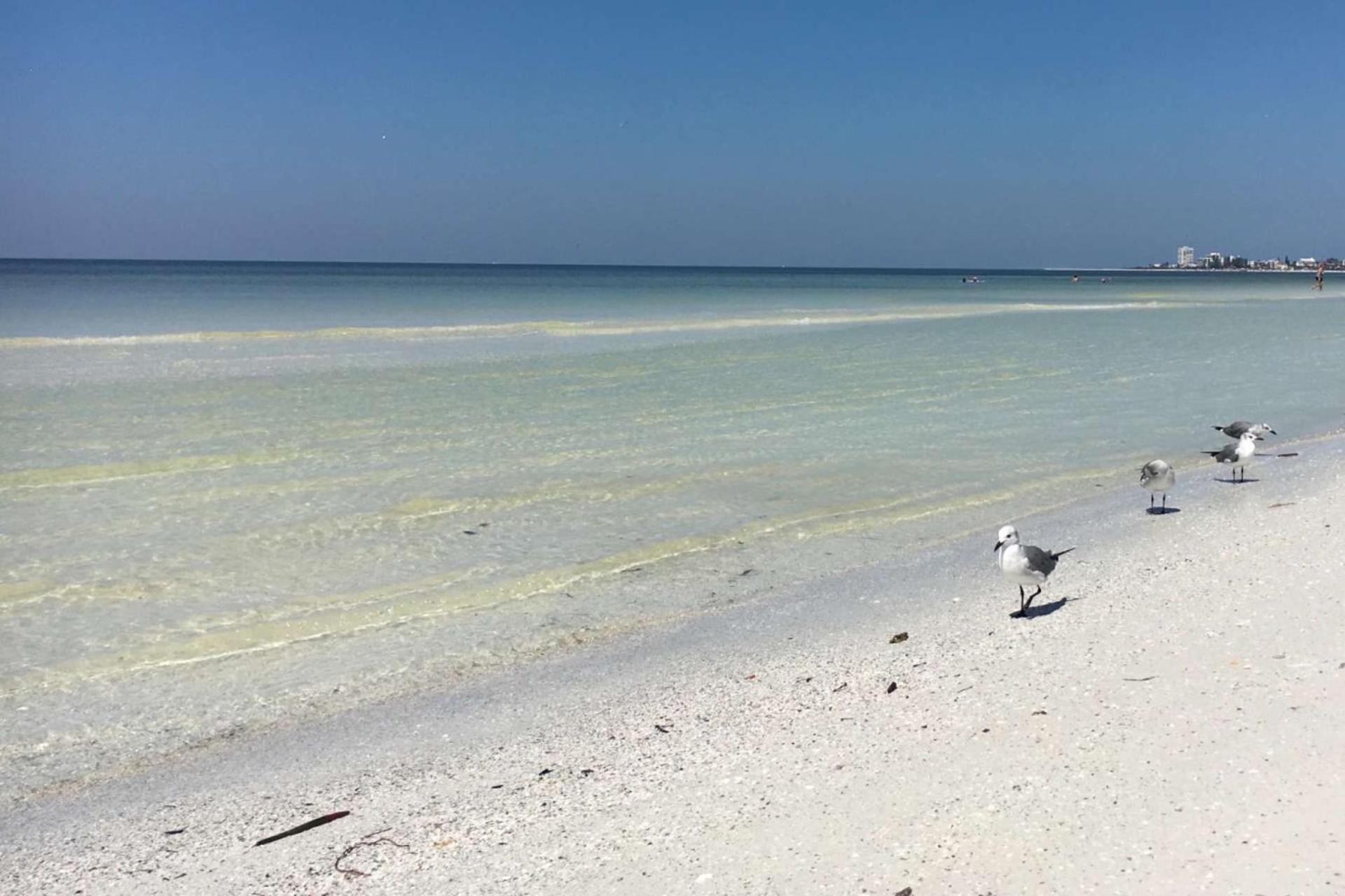Crystal Sands & Dreams *