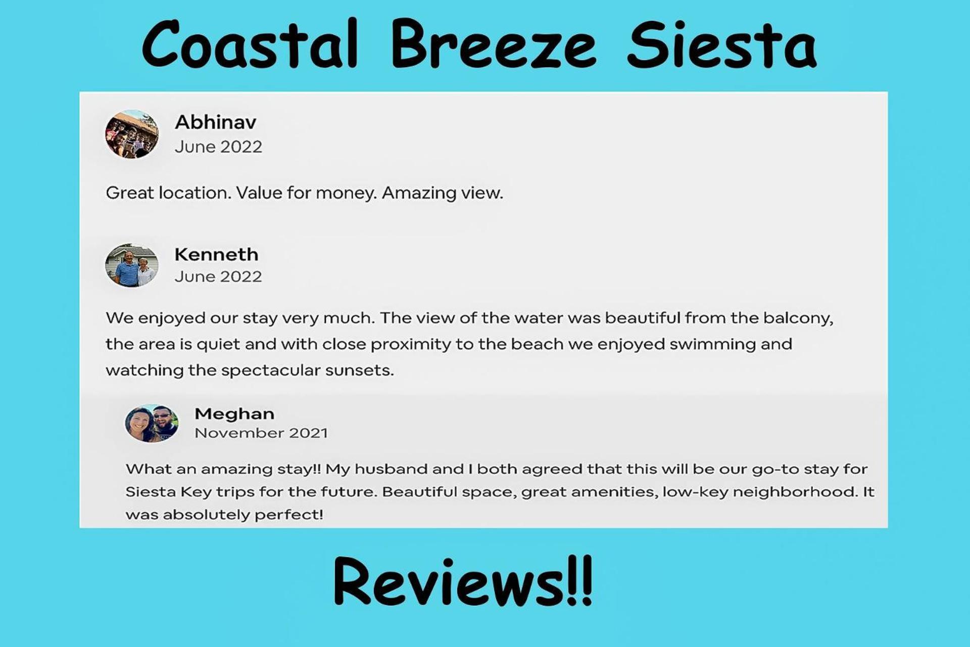 Coastal Breeze Siesta Turtle 