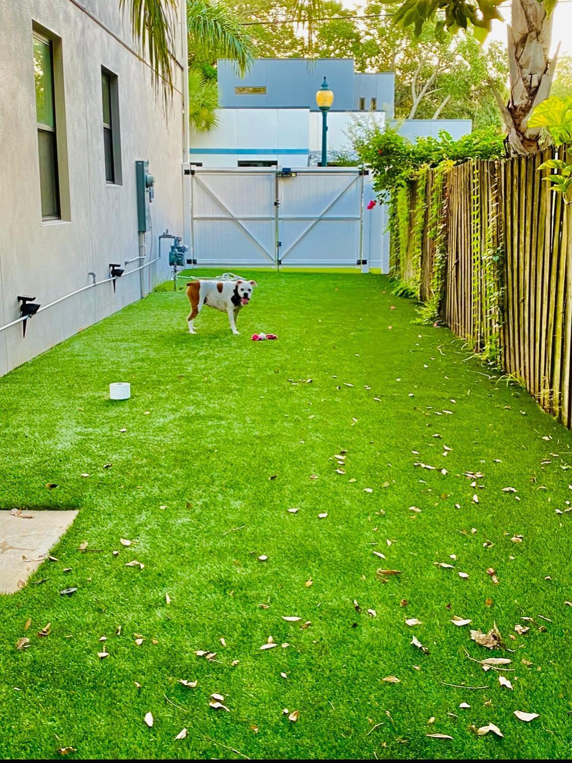 Downtown Pet-friendly @ The Park Home-635 Holiday home *