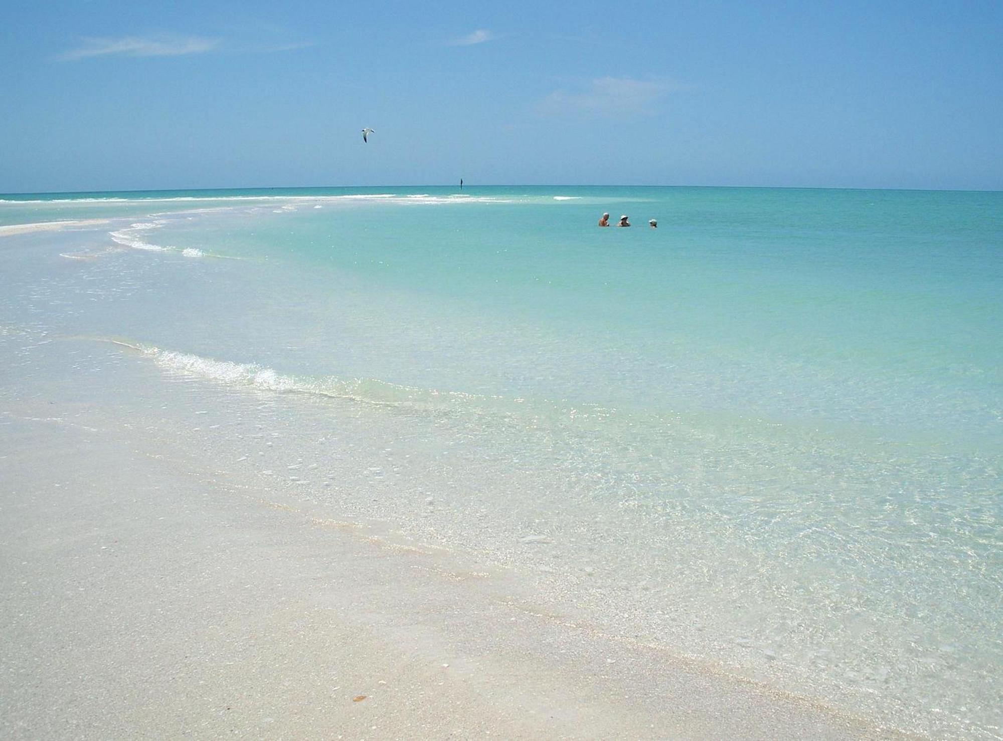 Private Patio, Walk To All! 5min- Siesta Keys Beach, 1min- Shopping Dining & Entertainment! * Sarasota