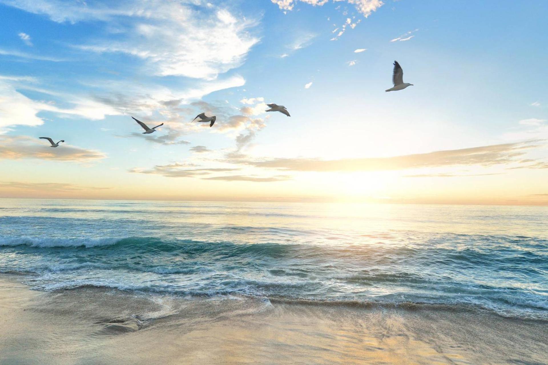Crystal Sands & Dreams Holiday home Sarasota