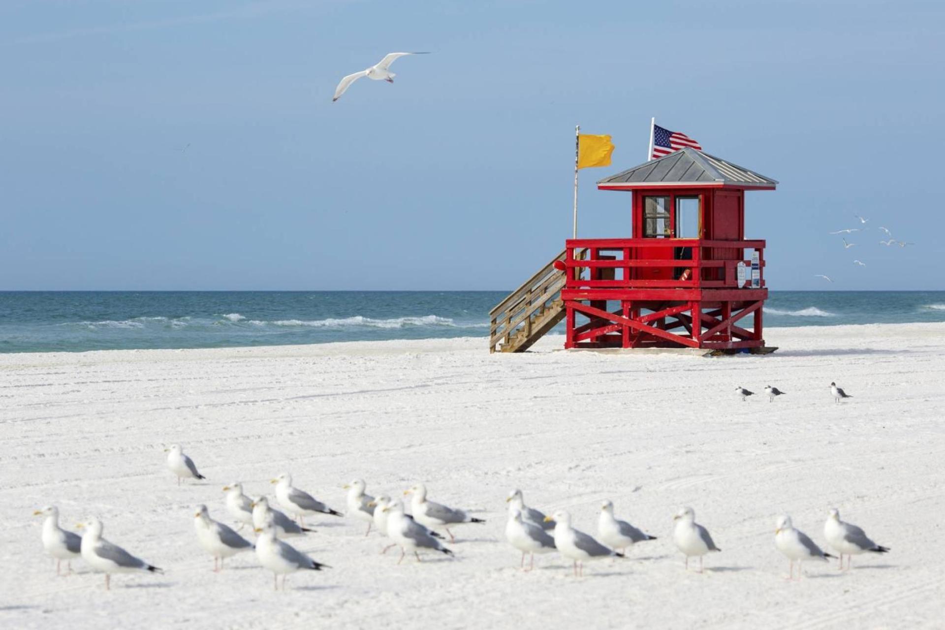 Kingston Arms Modern 1br On Lido Key Holiday home Sarasota