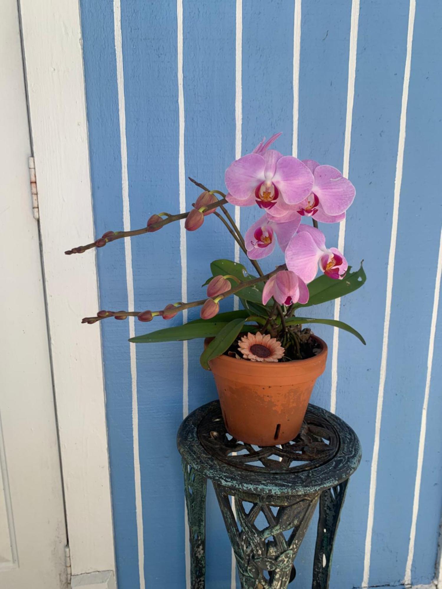Mini Studio: 10 Min/siesta Key/private Entrance/ * Sarasota