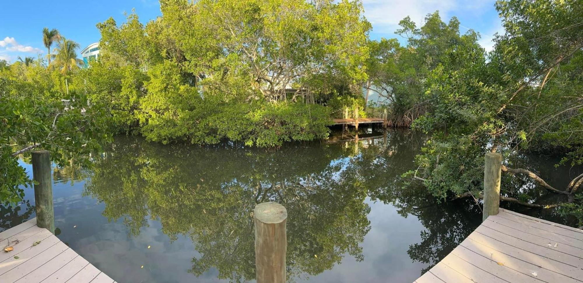 2br Coconut 800ft Walk To Games Holiday home