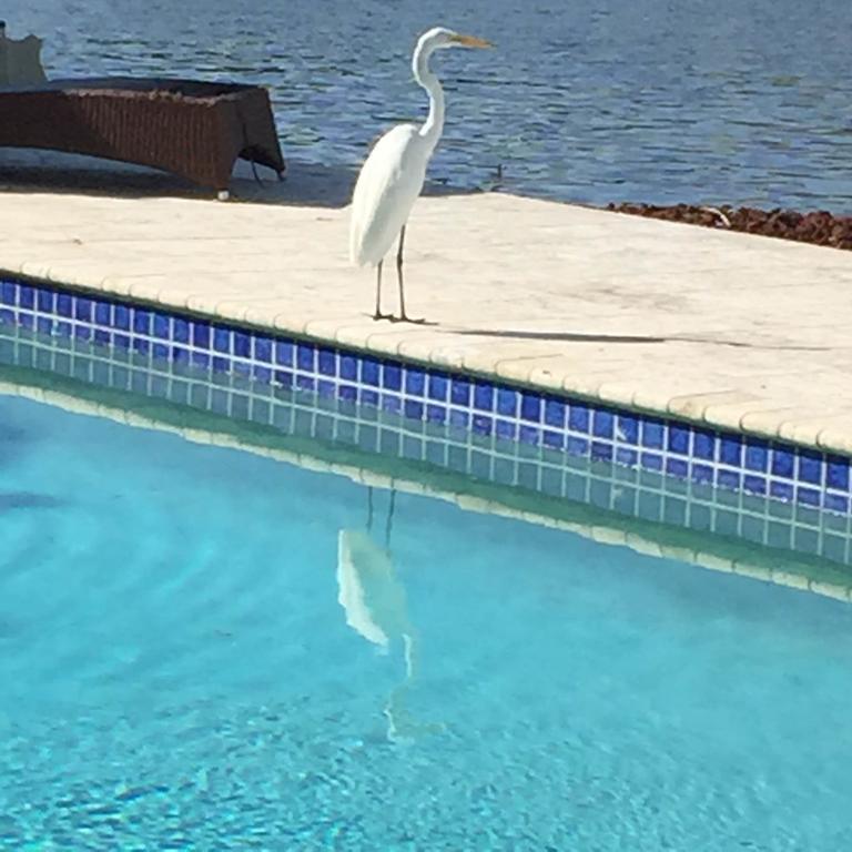 Holiday home Casa Blanca *