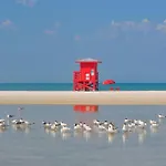 Quiet Cottage Walk To Siesta Key Relax Or Work