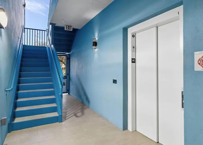 Rosemary District With Patio And In Walking Distance To Downtown And Bay Park