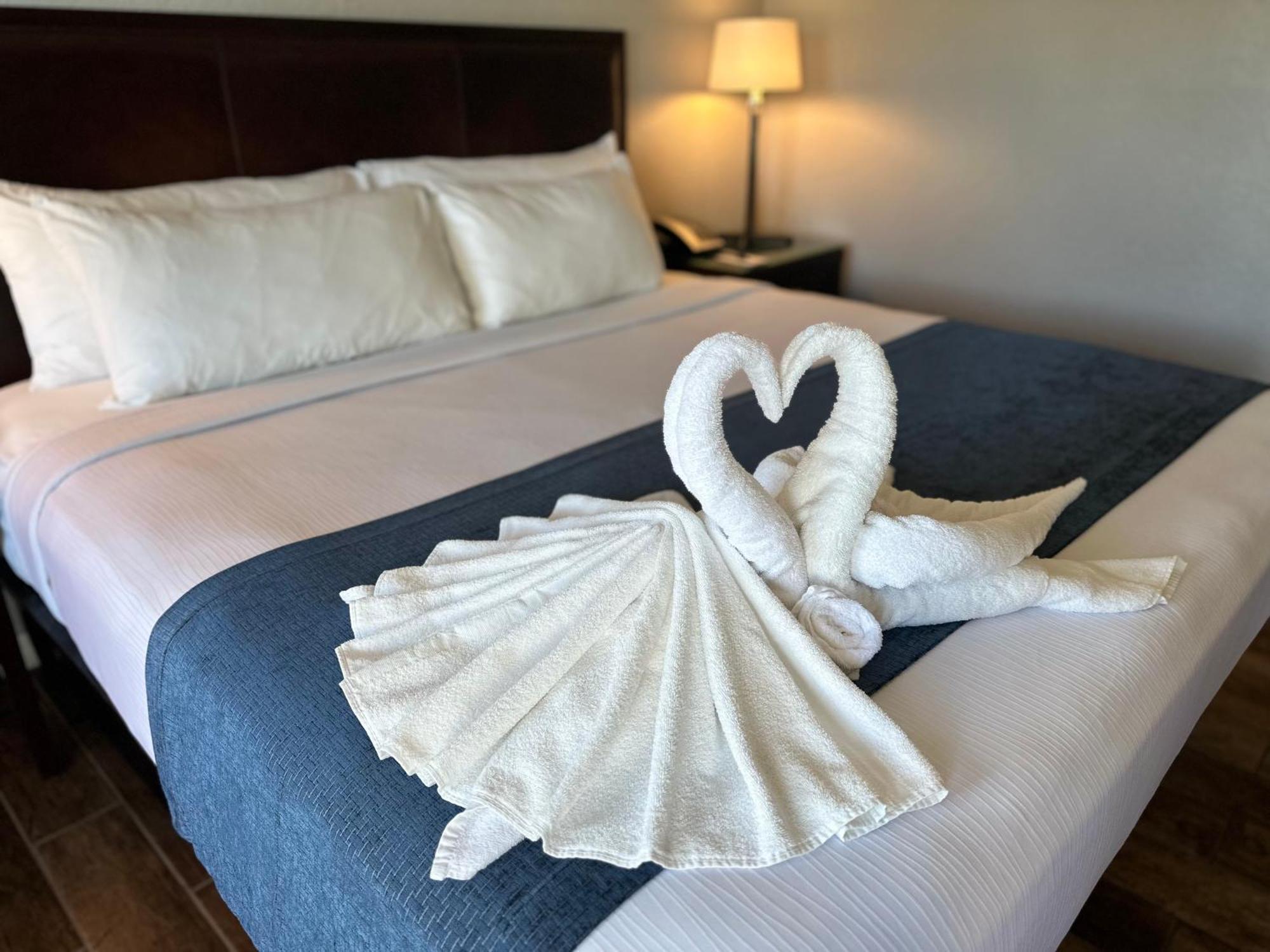 Lantern & - Sarasota