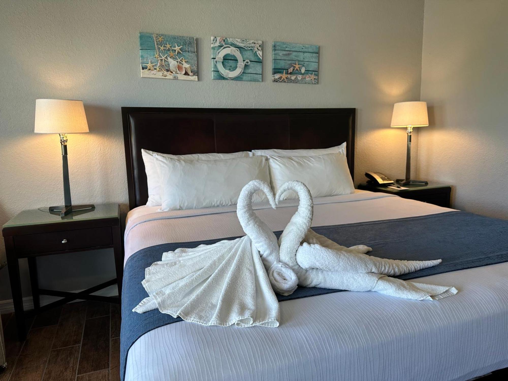 Lantern & - Sarasota