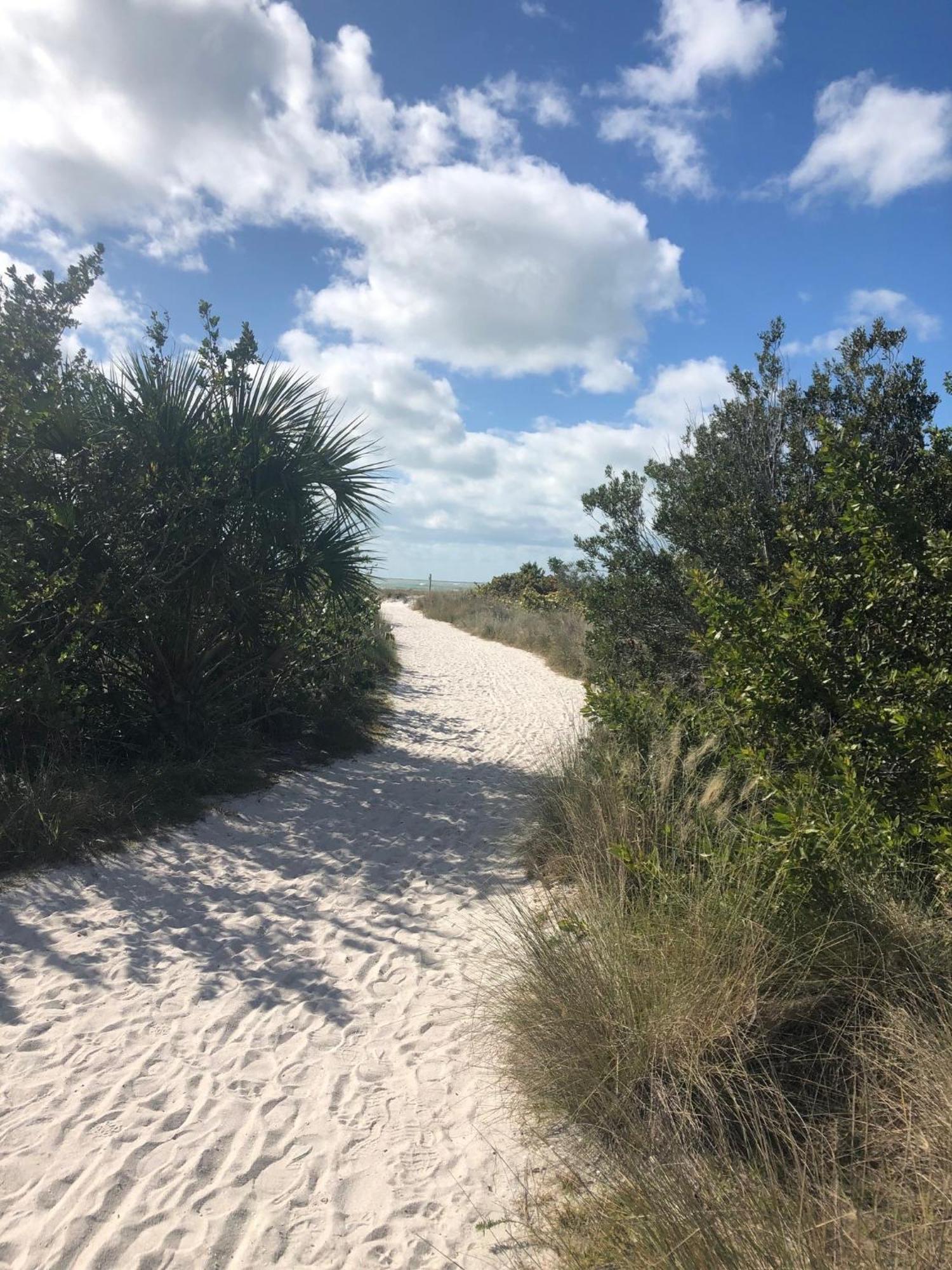 -walk To Siesta Key *