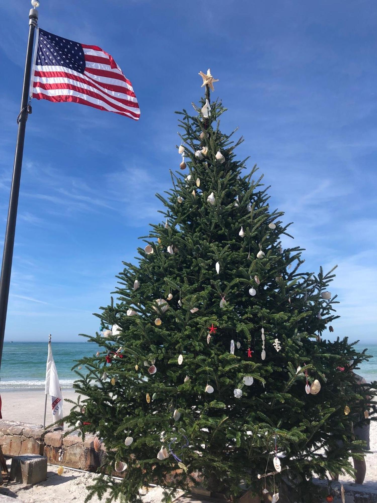 -walk To Siesta Key Sarasota