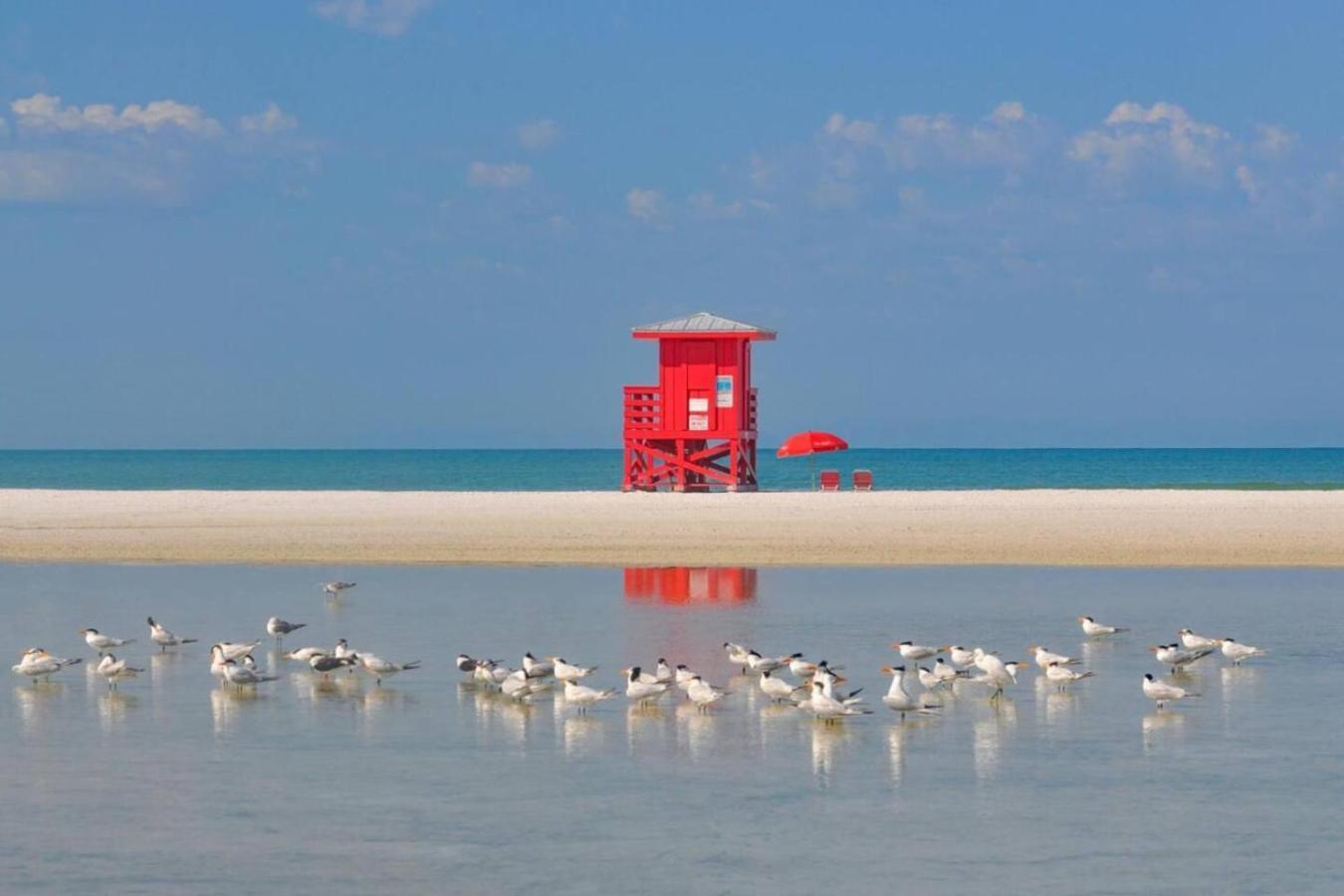 Country house Quiet Walk To Siesta Key Relax Or Work *
