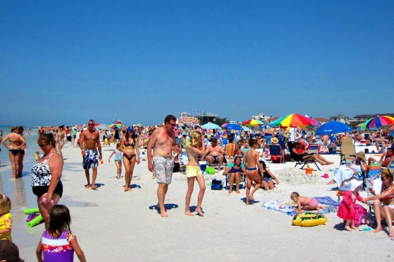 Country house Quiet Walk To Siesta Key Relax Or Work Sarasota